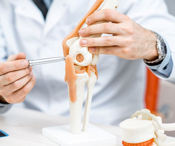Doctor demonstrating a knee joint model